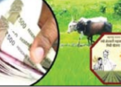 ‘नमाे शेतकरी’ याेजना की 8वीं किश्त अगले हफ्ते